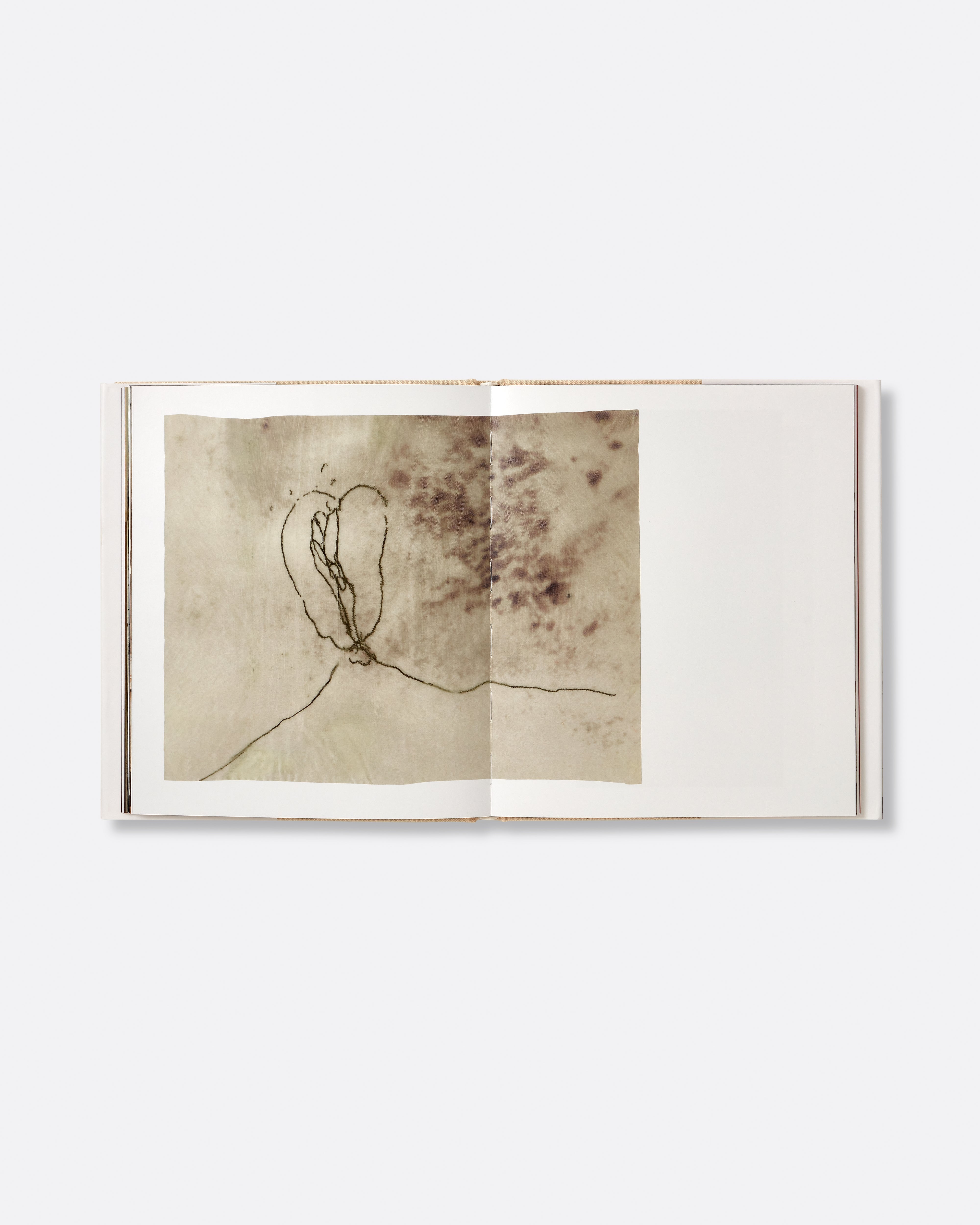 Art Book, Ida Applebroog: MONALISA, Hauser & Wirth
